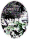 popup125.gif (19681 bytes)